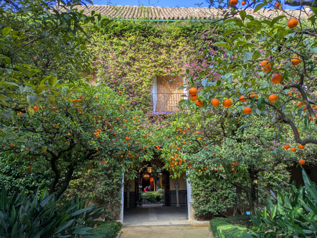 images from Palacio de las Dueñas