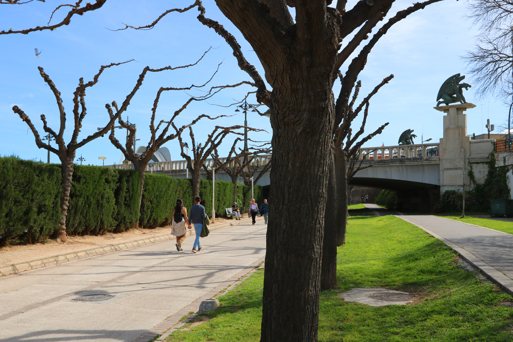 Turia park, Valencia