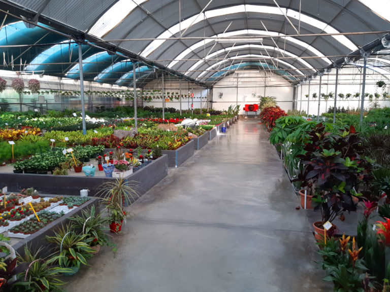 Where to buy Plants in Nerja (and Torrox) Mapping Spain