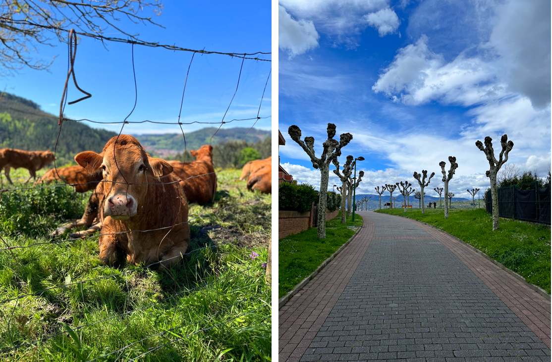 Basque Living What’s it like living in the Basque Country? - Mapping Spain