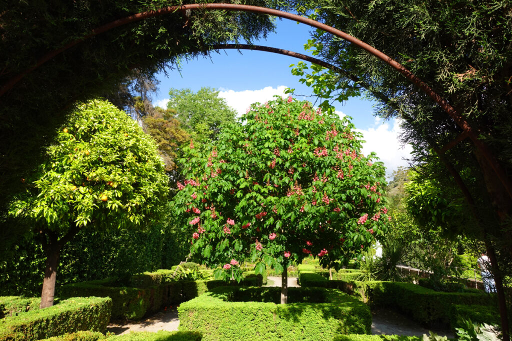 Albaicin Guide Granada